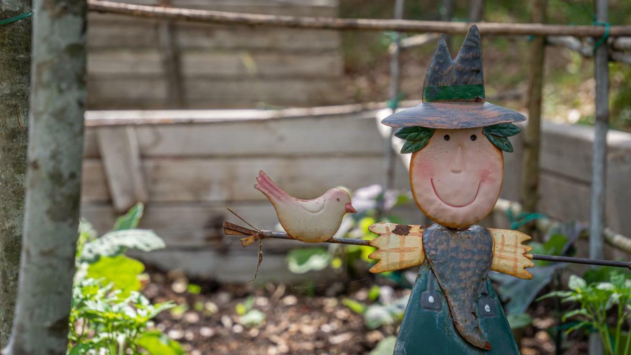 San Lorenzo a Merse Poggio Al Palioアパートホテル エクステリア 写真